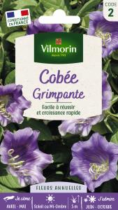 Cobée Grimpante